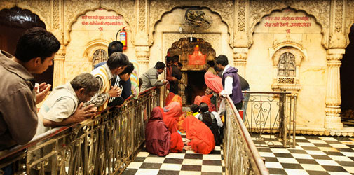 Karni mata temple, Rajasthan
