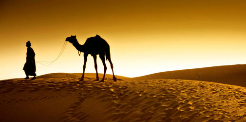 thar-desert